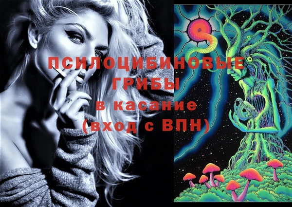 гашик Белоозёрский