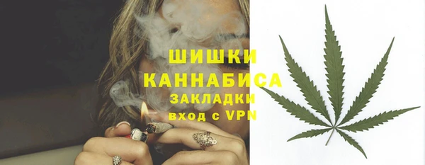 соль ск Богданович