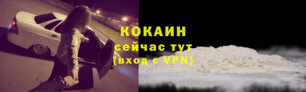 соль ск Богданович