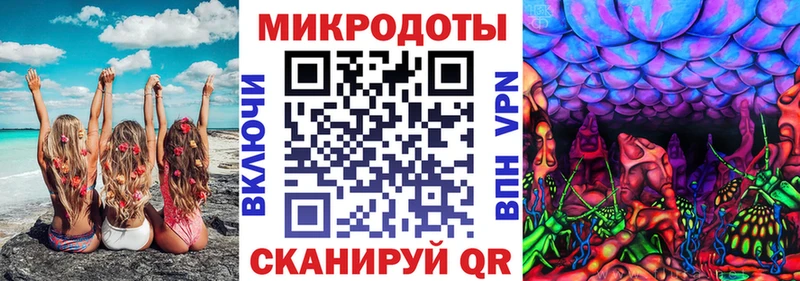 сколько стоит  Котово  Галлюциногенные грибы Cubensis 
